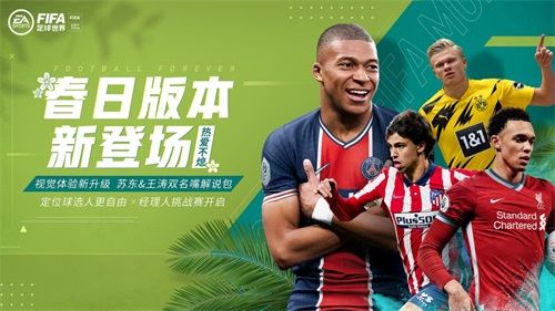 FIFA足球世界