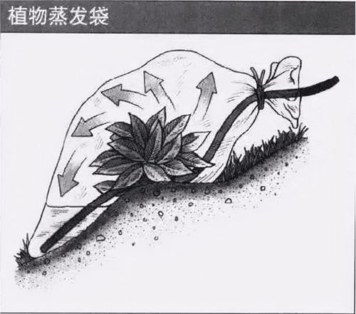 迷失蔚蓝百度版怎么找到干净水源4
