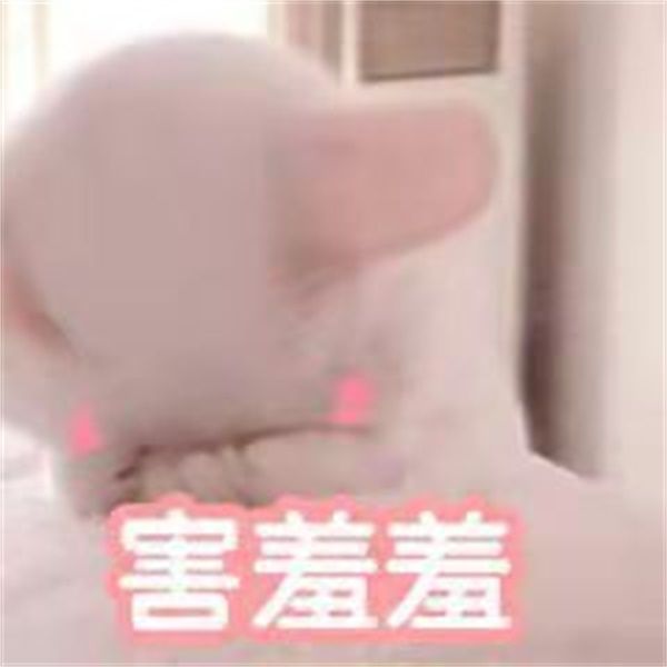倒计时1天:社交玩法大爆料,花样交友趣味多! 倒计时1天:社交玩法大爆料,花样交友趣味多!