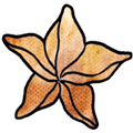 杨桃头游戏下载_杨桃头Karambola手机版下载 v1.6.8安卓版