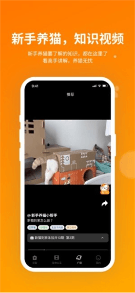 HHOLOVE图片11