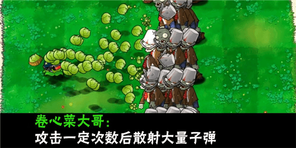 植物介绍配图20