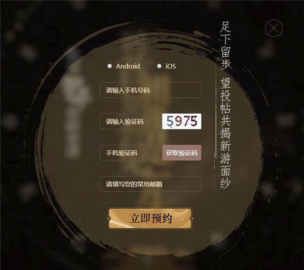 代号p4 图片3