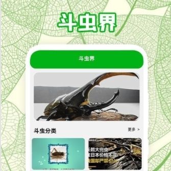 疯狂蛐蛐儿