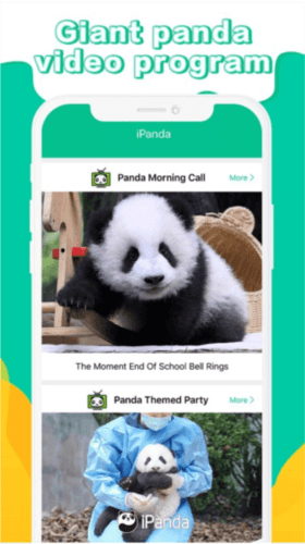 iPanda熊猫频道1