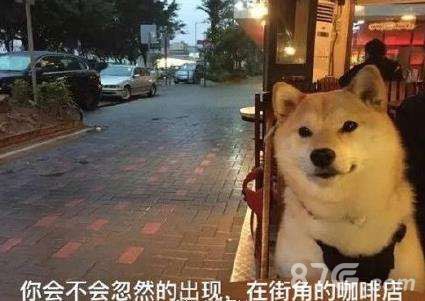 过春节玩什么游戏好2