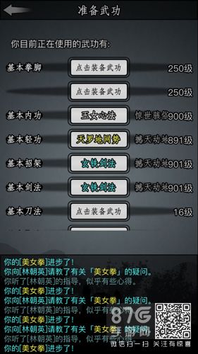 放置江湖古墓派用什么武器