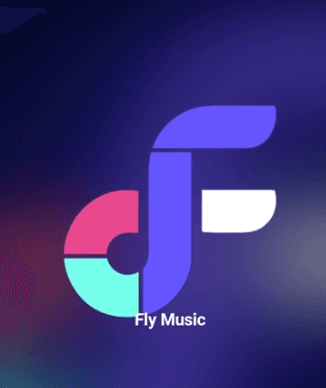 fly音乐魔改版1