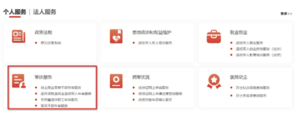 怎么年审配图3