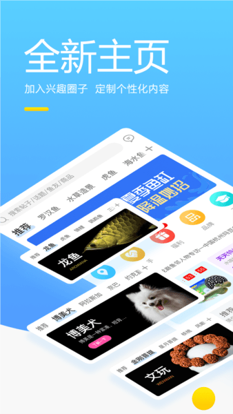 龙巅app1