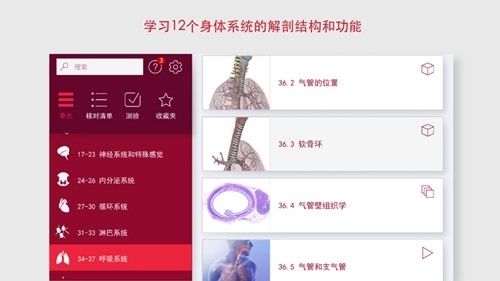 解剖和生理学宣传图