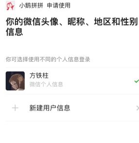小鹅拼拼怎么用软件注册步骤2