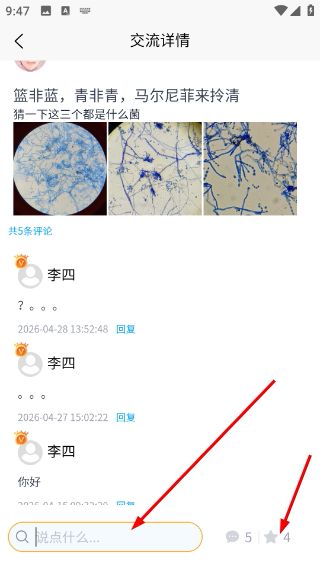 怎么评论动态配图2