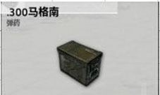 荒野行动AWM子弹