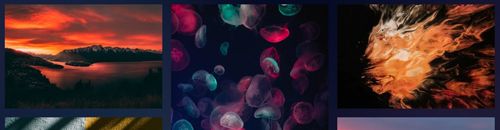 Unsplash官方app软件特色