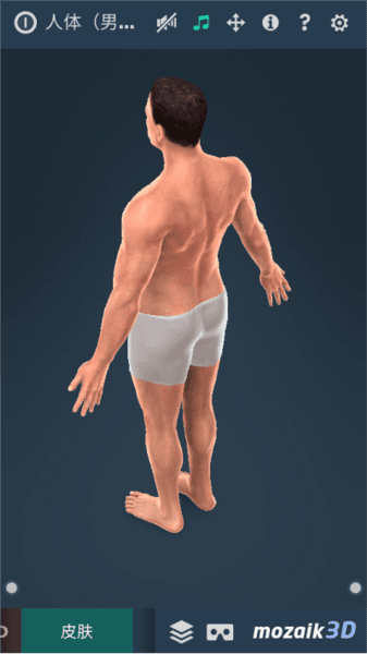 Humanbody软件图片1