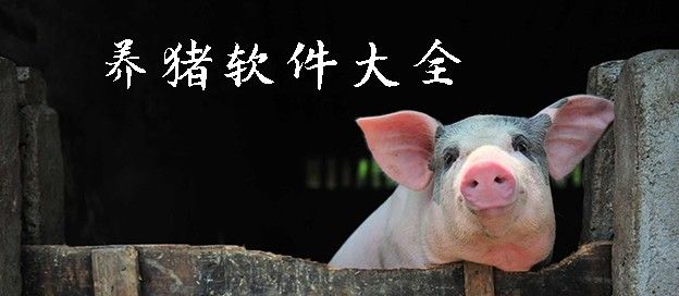 养猪软件大全