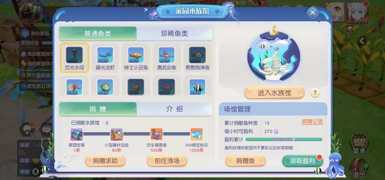 梦想新大陆4
