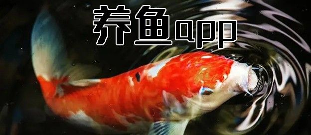 养鱼app