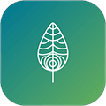 顷松APP