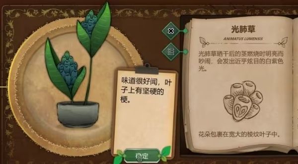植物图鉴配图3
