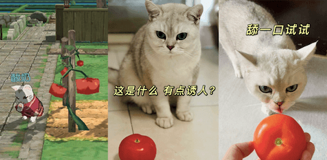 小森生活9