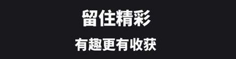 拍呱呱短视频app软件评价