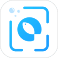 问鱼app