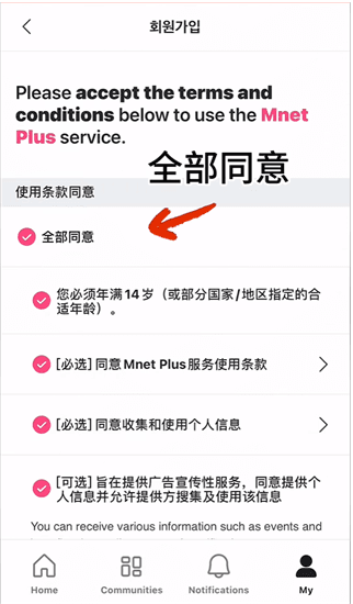 怎么投票配图3