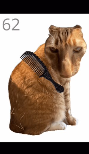 给猫梳毛手机版宣传图
