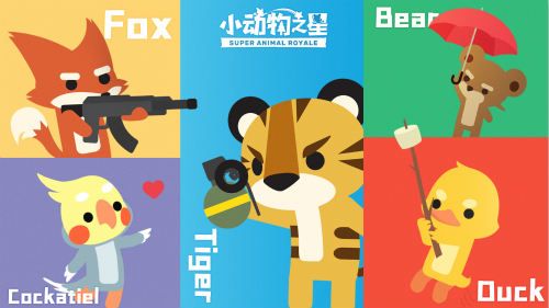 小动物之星