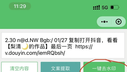 视频去水印教程配图4