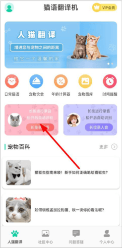 猫语翻译机免费版2