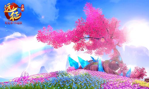 万顷花海盛情绽放