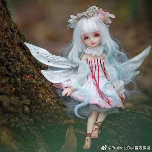 代号:Project Doll6