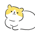 奇怪的猫游戏下载_奇怪的猫最新版下载 v1.0.49安卓版