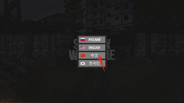 怎么设置中文配图1