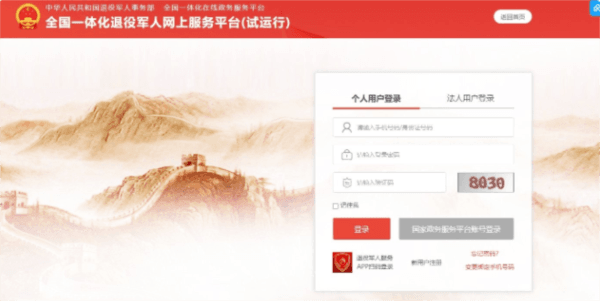 怎么年审配图2