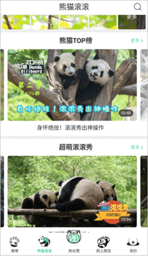iPanda熊猫频道4