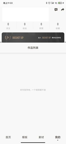 大片Bigshotapp4