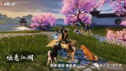 书写自己的武侠故事