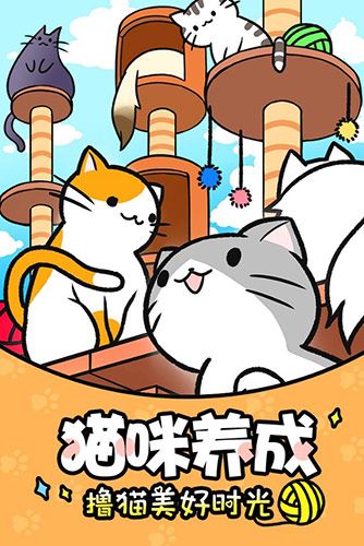 猫咪公寓