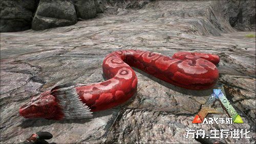 方舟:生存进化2