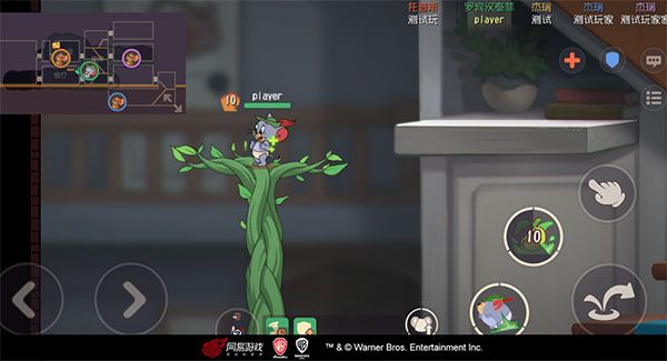 罗宾汉泰菲基本介绍配图3
