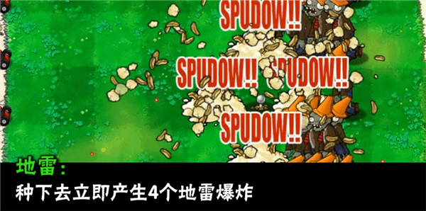 植物介绍配图4