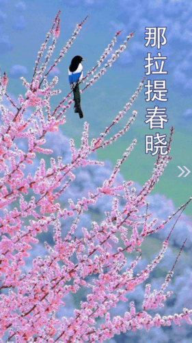 新疆新源好地方官方app软件功能
