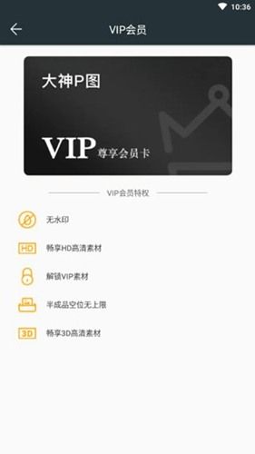 大神P图VIP特权