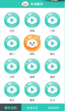 狗语翻译app1