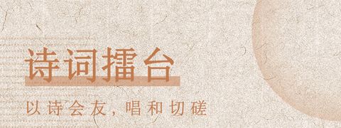 最全诗词app软件特色