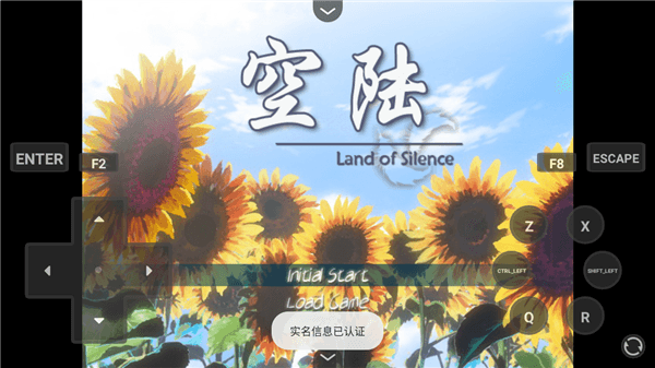 空陆游戏攻略配图1
